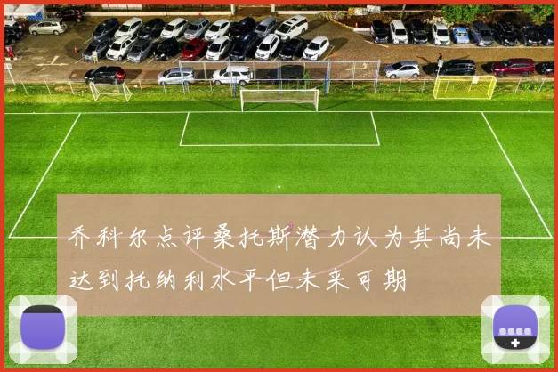 乔科尔点评桑托斯潜力认为其尚未达到托纳利水平但未来可期