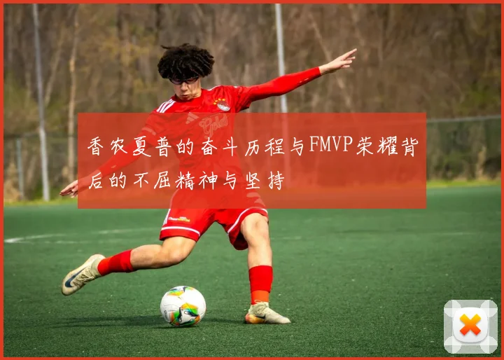 香农夏普的奋斗历程与FMVP荣耀背后的不屈精神与坚持